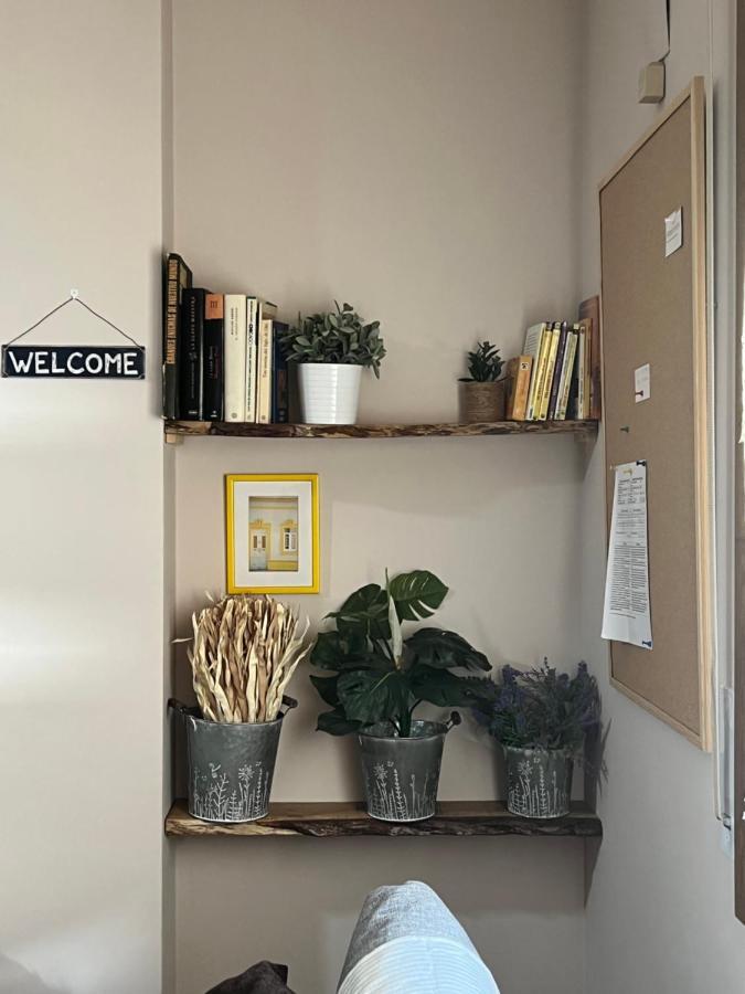 Apartamento Acogedor Pineta بييلسا المظهر الخارجي الصورة